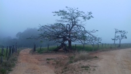 2° lugar categoria "Ouro Fino em cantos", foto de Silvia Rodrigues